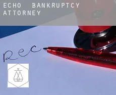 Echo  bankruptcy attorney