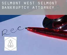 Selmont-West Selmont  bankruptcy attorney