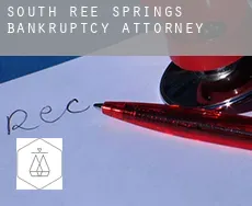 South Ree Springs  bankruptcy attorney