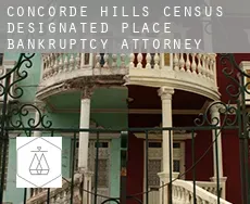 Concorde Hills  bankruptcy attorney
