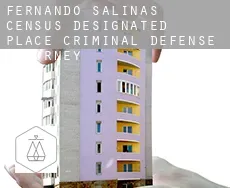 Fernando Salinas  criminal defense attorney
