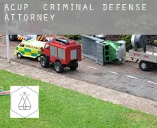 Acup  criminal defense attorney
