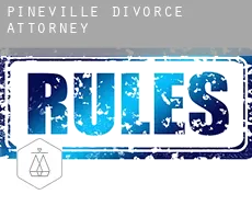Pineville divorce attorney