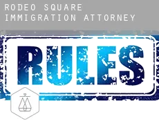 Rodeo Square  immigration attorney