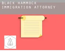 Black Hammock  immigration attorney