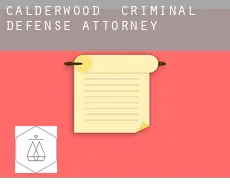 Calderwood  criminal defense attorney