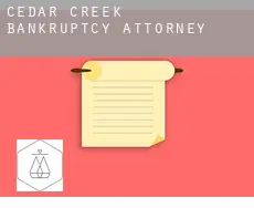 Cedar Creek bankruptcy attorney