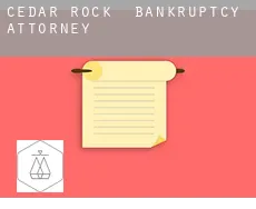 Cedar Rock  bankruptcy attorney