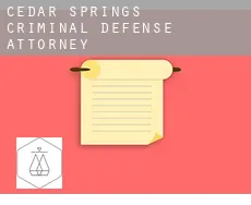 Cedar Springs  criminal defense attorney