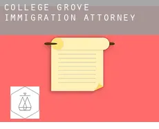 College Grove  immigration attorney