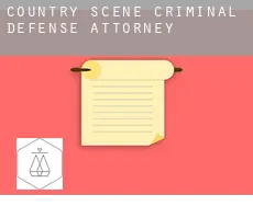 Country Scene  criminal defense attorney