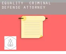 Equality  criminal defense attorney