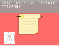Erie criminal defense attorney