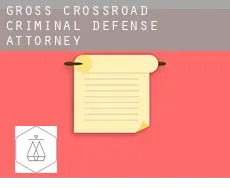Gross Crossroad  criminal defense attorney