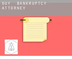 Guy  bankruptcy attorney