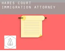 Hares Court  immigration attorney