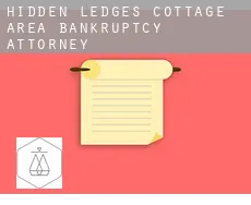 Hidden Ledges Cottage Area  bankruptcy attorney