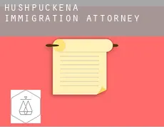 Hushpuckena  immigration attorney