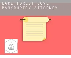 Lake Forest Cove  bankruptcy attorney