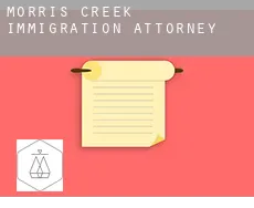 Morris Creek  immigration attorney
