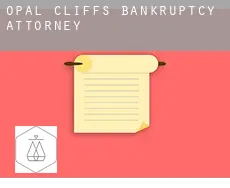 Opal Cliffs  bankruptcy attorney