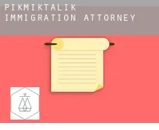 Pikmiktalik  immigration attorney