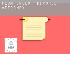 Plum Creek  divorce attorney