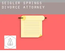 Seigler Springs  divorce attorney