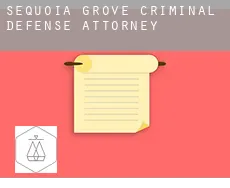 Sequoia Grove  criminal defense attorney