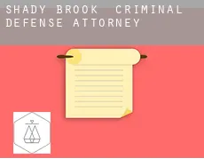 Shady Brook  criminal defense attorney