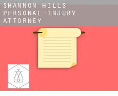 Shannon Hills  personal injury attorney
