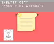 Smelter City  bankruptcy attorney