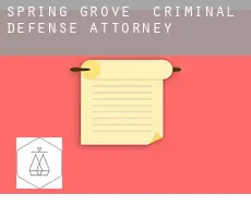 Spring Grove  criminal defense attorney