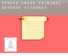 Spruce Creek criminal defense attorney