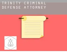 Trinity  criminal defense attorney