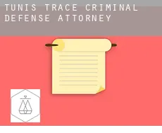 Tunis Trace  criminal defense attorney