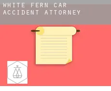 White Fern car accident attorney