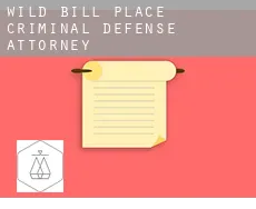 Wild Bill Place  criminal defense attorney