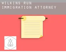 Wilkins Run immigration attorney