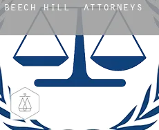Beech Hill  attorneys