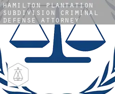 Hamilton Plantation Subdivision  criminal defense attorney
