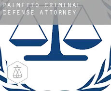 Palmetto  criminal defense attorney