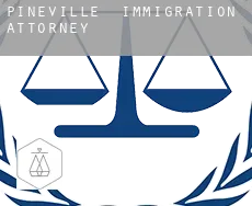 Pineville  immigration attorney