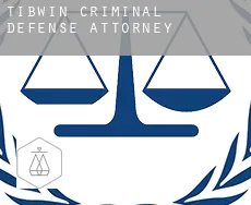 Tibwin  criminal defense attorney