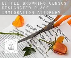 Little Browning  immigration attorney