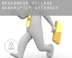Broadmoor Village bankruptcy attorney