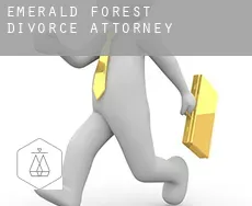 Emerald Forest  divorce attorney