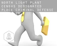 North Light Plant  criminal defense attorney