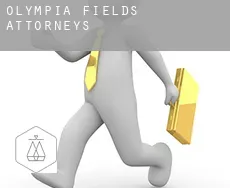 Olympia Fields  attorneys
