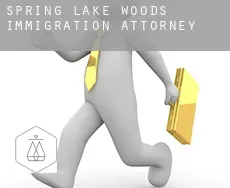Spring Lake Woods  immigration attorney